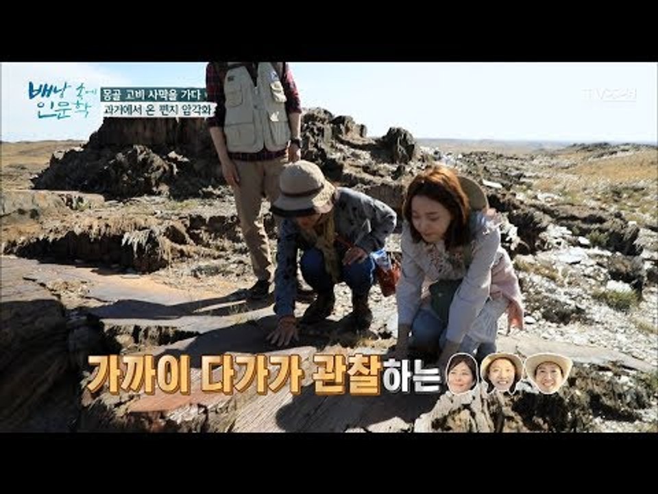 기원전 유목민들이 남긴 편지! 고비사막의 ‘암각화’ [배낭 속에 인문학] 16회 20...