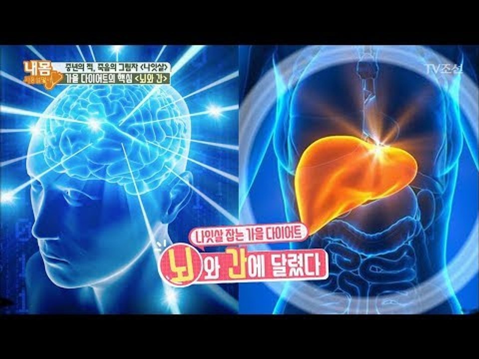나잇살 잡는 가을 다이어트! ‘뇌’와 ‘간’에 달렸다! [내 몸 사용설명서] 172회...
