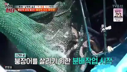 경주출장안마 -여대생！Ø7Øe7575vØØ62【문의톡LJ69】경주전지역출장마사지경주출장안마'경주출장마사지황형'출장안마'★●◎출장오피출장오피