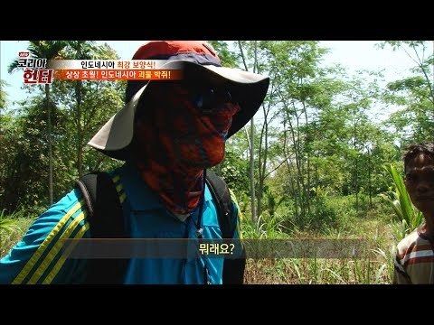 낚시를 해서 박쥐를 잡는다?! [뉴 코리아 헌터] 70회 20171002