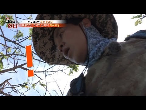 박쥐를 잡으러 가는 길은 수직 낭떠러지?! [뉴 코리아 헌터] 70회 20171002