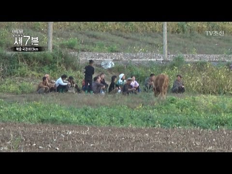 북한 사람들의 모습, 돌로 소를 때리는 남자 [탐사보도 세븐 7회] 20171006