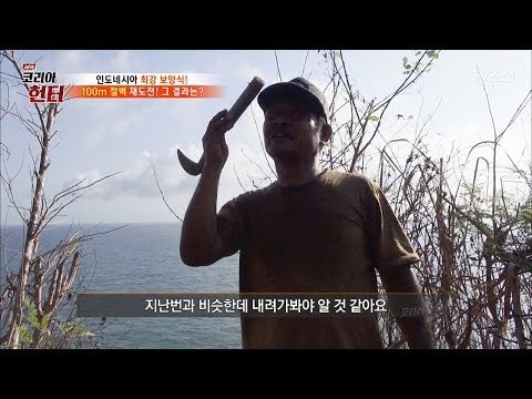 실패는 없다! 다시 절벽 박쥐를 노려보는 NEW 코리아 헌터팀! [뉴 코리아 헌터] 70회 20171002