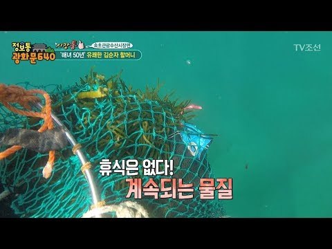 50년차 베테랑! 해녀 할머니의 실력! [정보통 광화문 640] 66회 20171009