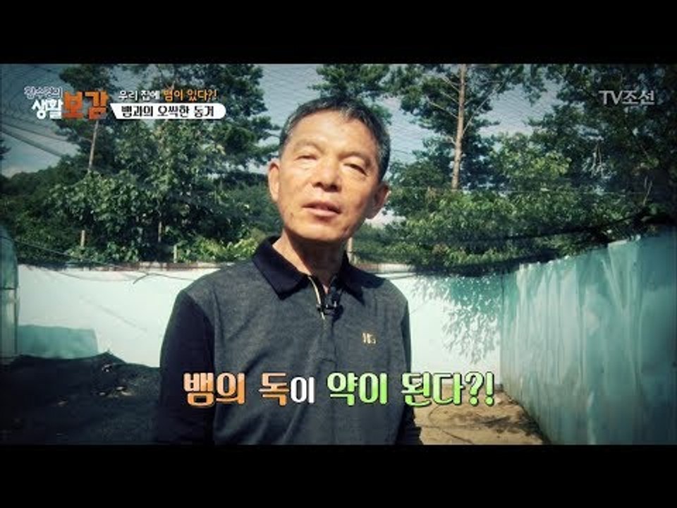 버릴게 없다? 뱀의 허물도 약재로 쓰인다! [황수경의 생활보감] 27회 20171007