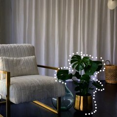 9 Houseplants That Are Really Hard To Kill