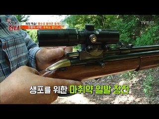 들개를 잡기위해 총을 준비하는 헌터! [뉴 코리아 헌터] 72회 20171016