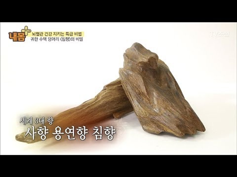 뇌혈관 건강 지키는 ‘침향’의 비밀! [내 몸 플러스] 77회 20171022