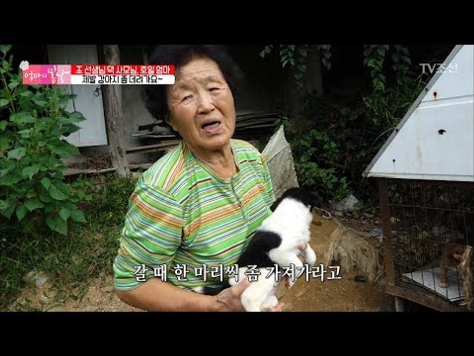 얼떨결에 강아지를 입양하기로 한 제작진 [엄마의 봄날] 111회 20171022
