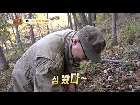 달인에게 배우는 산삼 찾는 방법! [황수경의 생활보감] 32회 20171111