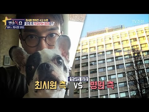 최시원 반려견 사고, 병원과 엇갈리는 입장은? [별별톡쇼] 29회 20171027