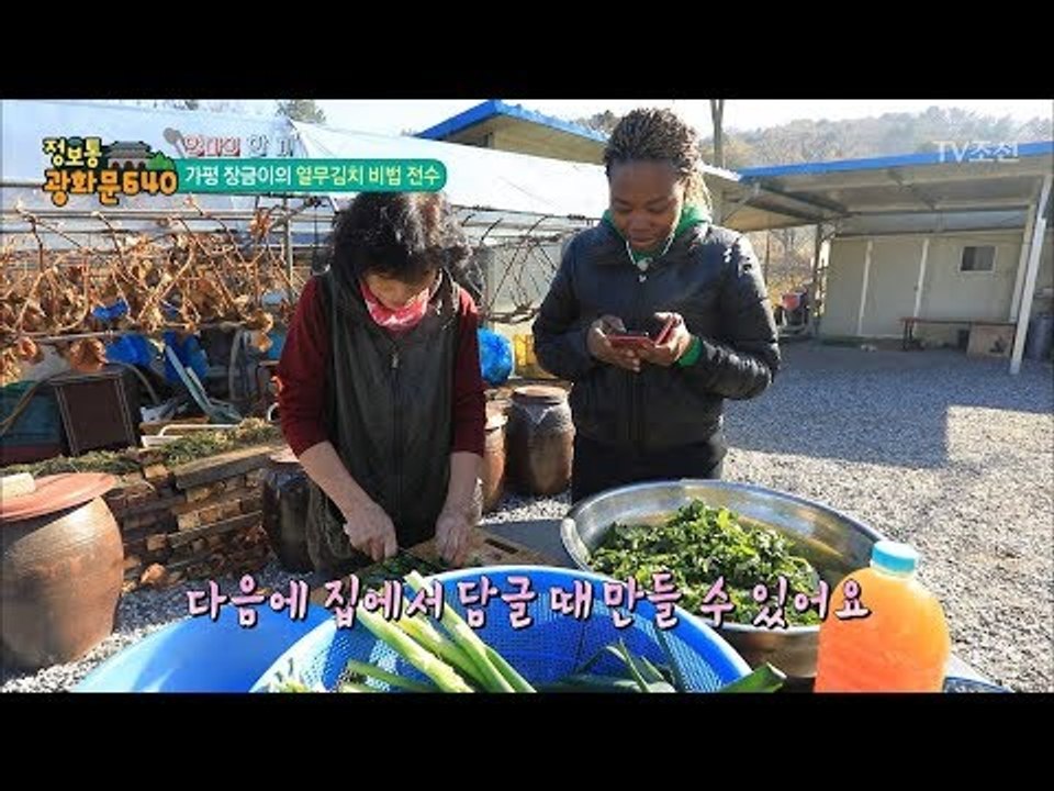 열무김치의 달인에게 배우는 열무김치 조리법! [정보통 광화문 640] 86회 2017...