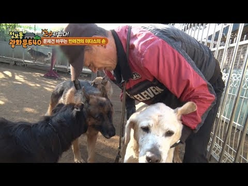 반려견 마스터! 약손으로 강아지를 치료하다! [정보통 광화문 640] 74회 2017...