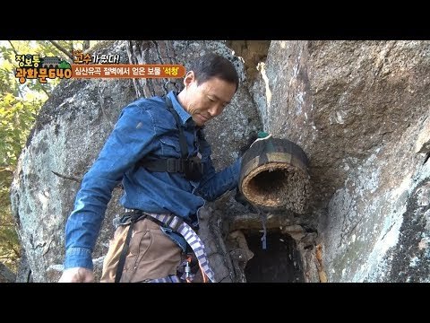 돌 틈에서 자라는 귀하디귀한 석청! [정보통 광화문 640] 77회 20171102