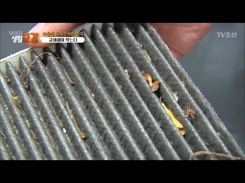 미세먼지 속 차량 관리법! [황수경의 생활보감] 31회 20171104