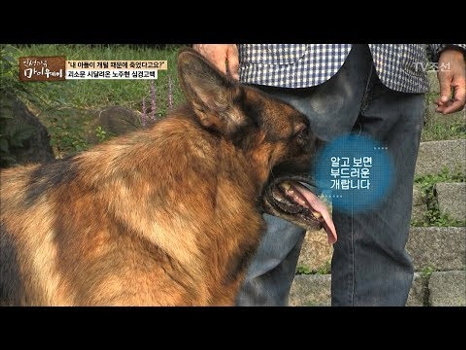 노주현의 반려견 사랑! 개를 기르는 이유는? [마이웨이] 70회 20171102