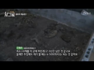 흙처럼 보이는 것이 전부 개 사체?! [시그널] 4회 20171124