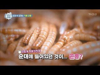 맙소사! 순대에 유충이 들어간다?! [반전상회] 7회 20171105