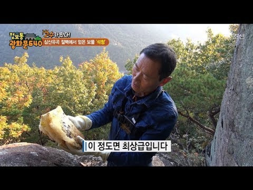 드디어 얻은 최고급 석청! 과연 고수의 비법은?! [정보통 광화문 640] 77회 2...
