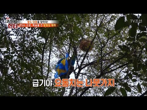 목숨 건 말벌집 채취! 결국 눈물을 보이는 아내 [뉴 코리아 헌터] 75회 20171106