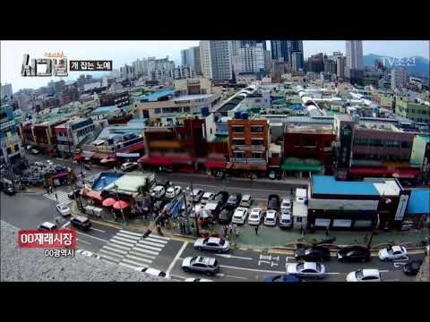 충격적인 개 학대영상에 시장 앞에 만들어진 집회현장! [시그널] 1회 20171103
