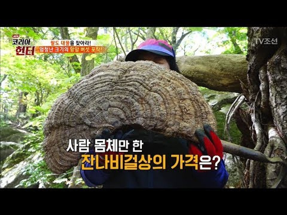 엄청난 크기! 항암 버섯을 발견한 헌터의 실수?! [뉴 코리아 헌터] 75회 2017...