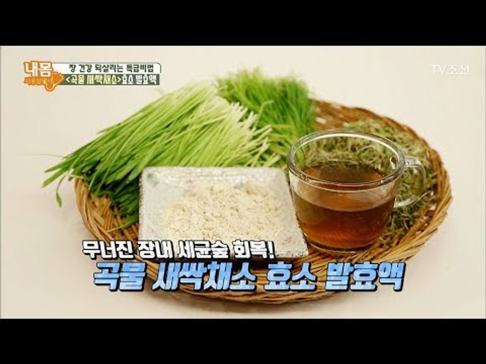 ‘곡물 새싹채소 효소 발효액’ 만드는 법 [내 몸 사용설명서] 178회 20171110