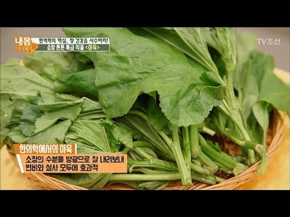 ‘아욱’이 소장에 좋은 이유는? [내 몸 사용설명서] 178회 20171110