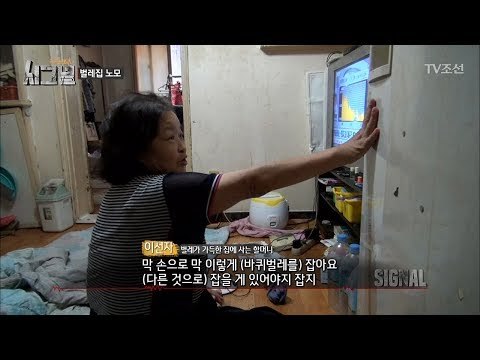 충격! 바퀴벌레집에 사는 할머니 [시그널] 2회 20171110
