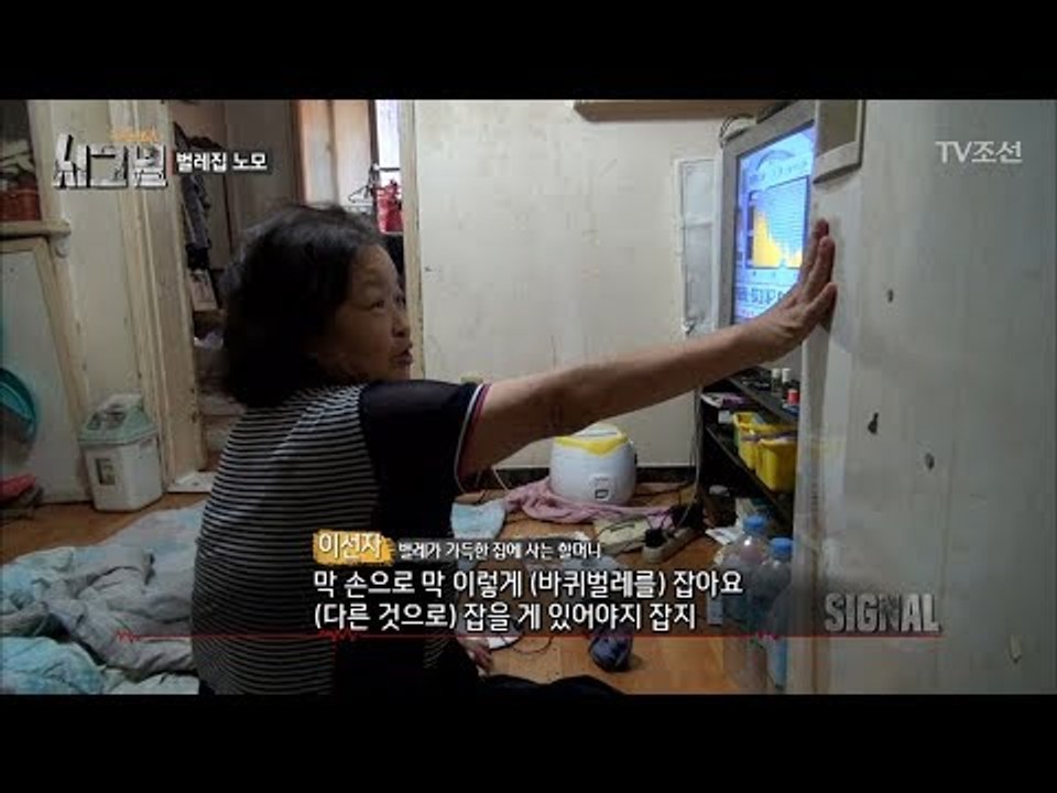 충격! 바퀴벌레집에 사는 할머니 [시그널] 2회 20171110