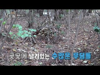 수십 마리의 강아지가 묻혀있는 무덤 밭... [시그널] 2회 20171110