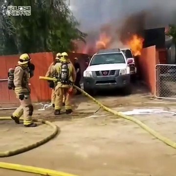 Il fonce dans sa maison en feu pour sauver son chien !