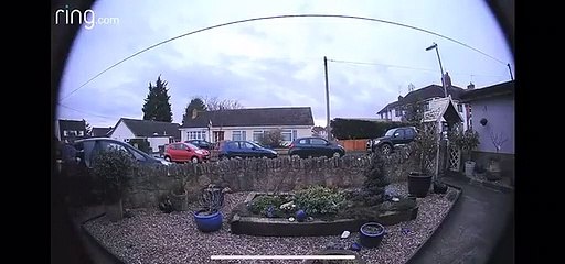 Il sonne à la porte... avec son nez !