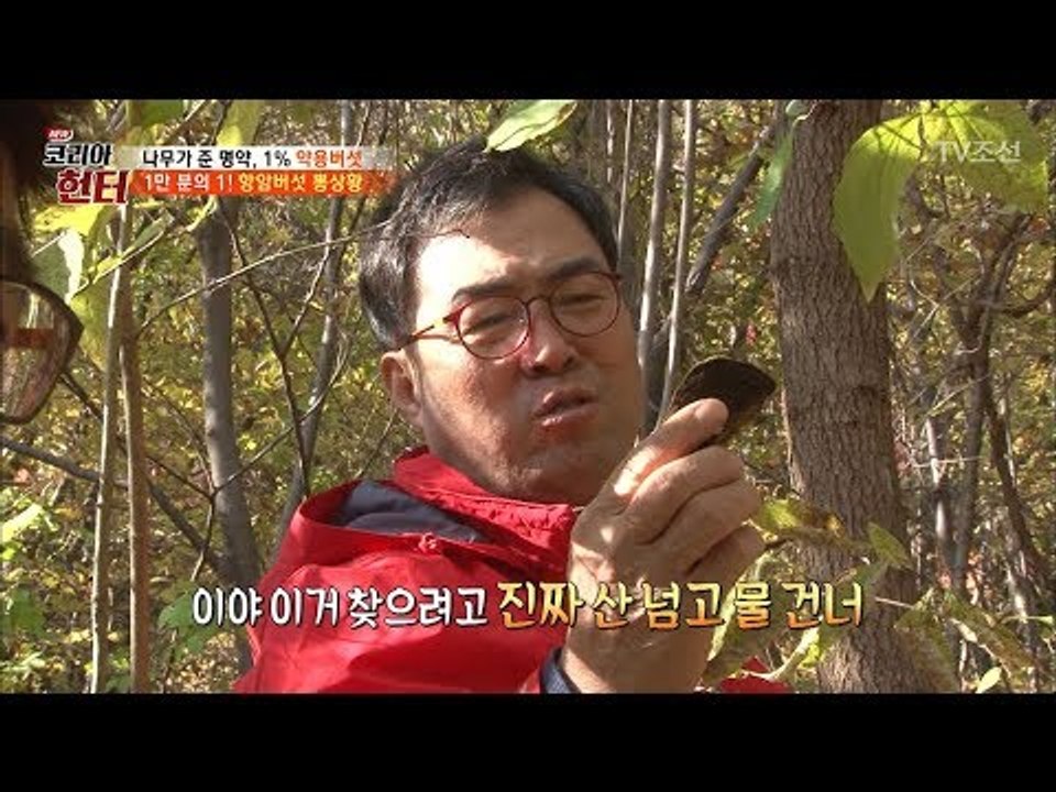 1만 분의 1! 드디어 항암버섯 뽕상황을 채취한 이만기 [뉴 코리아 헌터] 76회 2...
