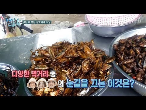 거미를 먹는다?! 요리된 곤충을 파는 캄보디아, 그 이유는? [배낭 속에 인문학] 23회 20171114