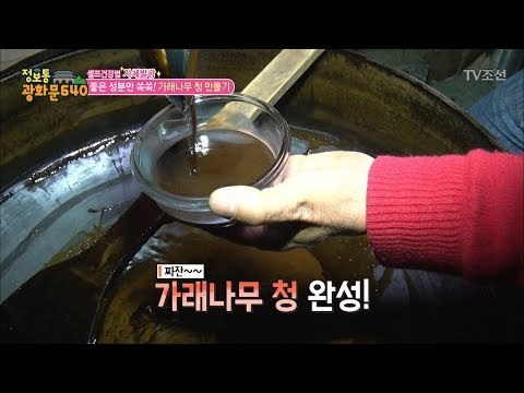 골수염 회복을 도와준 가래나무 청 만들기 [정보통 광화문 640] 82회 20171115
