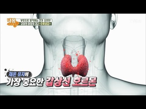 손발이 너무 차갑다면 ‘갑상선 기능 저하증’을 의심하라 [내 몸 사용설명서] 179회 20171117