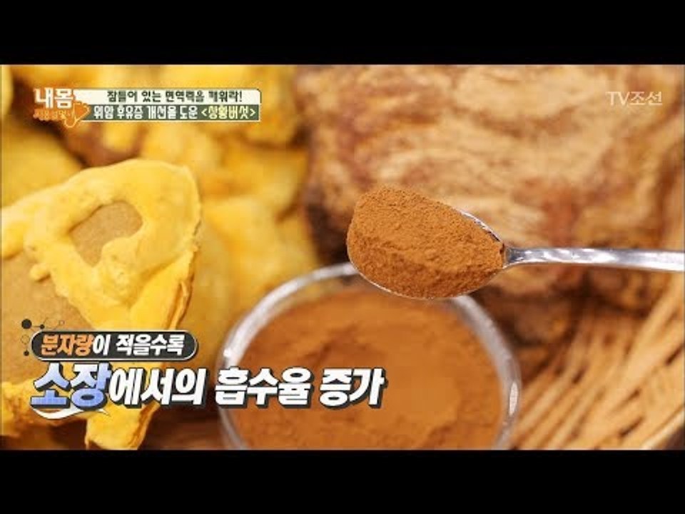 위암 후유증 개선에 도움 주는 ‘상황버섯’ 똑똑하게 먹는 법 [내 몸 사용설명서] 1...