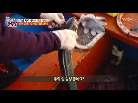 우리가 알 던 크기가 아니다?! 압도적 크기의 대물 삼치! [뉴 코리아 헌터] 78회 20171127