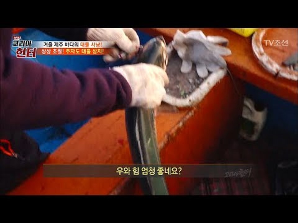 우리가 알 던 크기가 아니다?! 압도적 크기의 대물 삼치! [뉴 코리아 헌터] 78회...