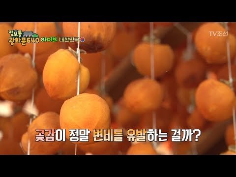 곶감은 정말로 변비를 유발할까? [정보통 광화문 640] 94회 20171214