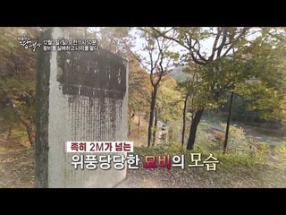 왕비를 살해하고 나라를 팔다_박종인의 땅의 역사 26회 예고