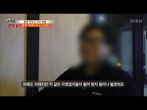 시내에도 멧돼지가 나타난다?! [뉴 코리아 헌터] 79회 20171204