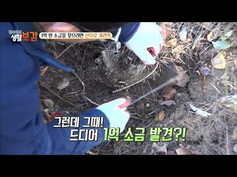 1억 원 소금을 찾으러 산으로 가다? [황수경의 생활보감] 38회 20171223