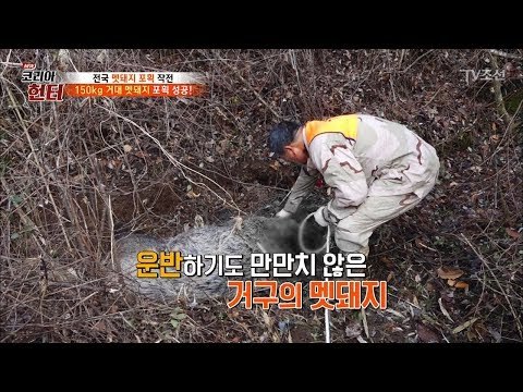 잡은 멧돼지는 들고 가지 않고 차를 이용하는 헌터! [뉴 코리아 헌터] 79회 20171204