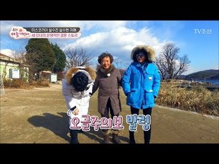 오글주의보! 설 자매 엄마♥아빠의 전쟁도 막지 못한 사랑 [우리, 더 늦기 전에] 3회 20171210