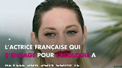 Marion Cotillard : Guillaume Canet "fier" de son nouveau projet
