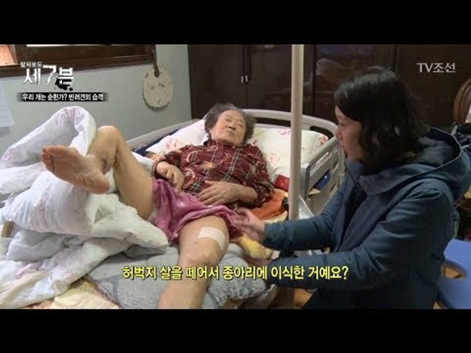 이웃이 키우는 개에 물린 할머니, 살점이 뜯겨나가... [탐사보도 세븐 16회] 20...