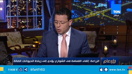 محامي أحد ضحايا الكلاب: أطالب بحظر اقتناء الكلاب إلا للضرورة وبتصريح