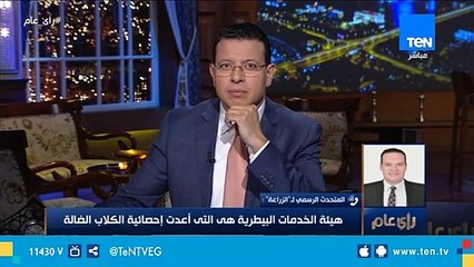 المتحدث باسم "الزراعة": إلقاء القمامة في الشوارع يؤدي إلى انتشار الحيوانات الضالة